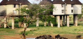Tsavo National Park hotels