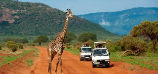 Tsavo National Park activities