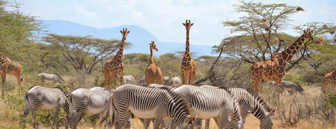 18 days Kenya Adventurous safari tour