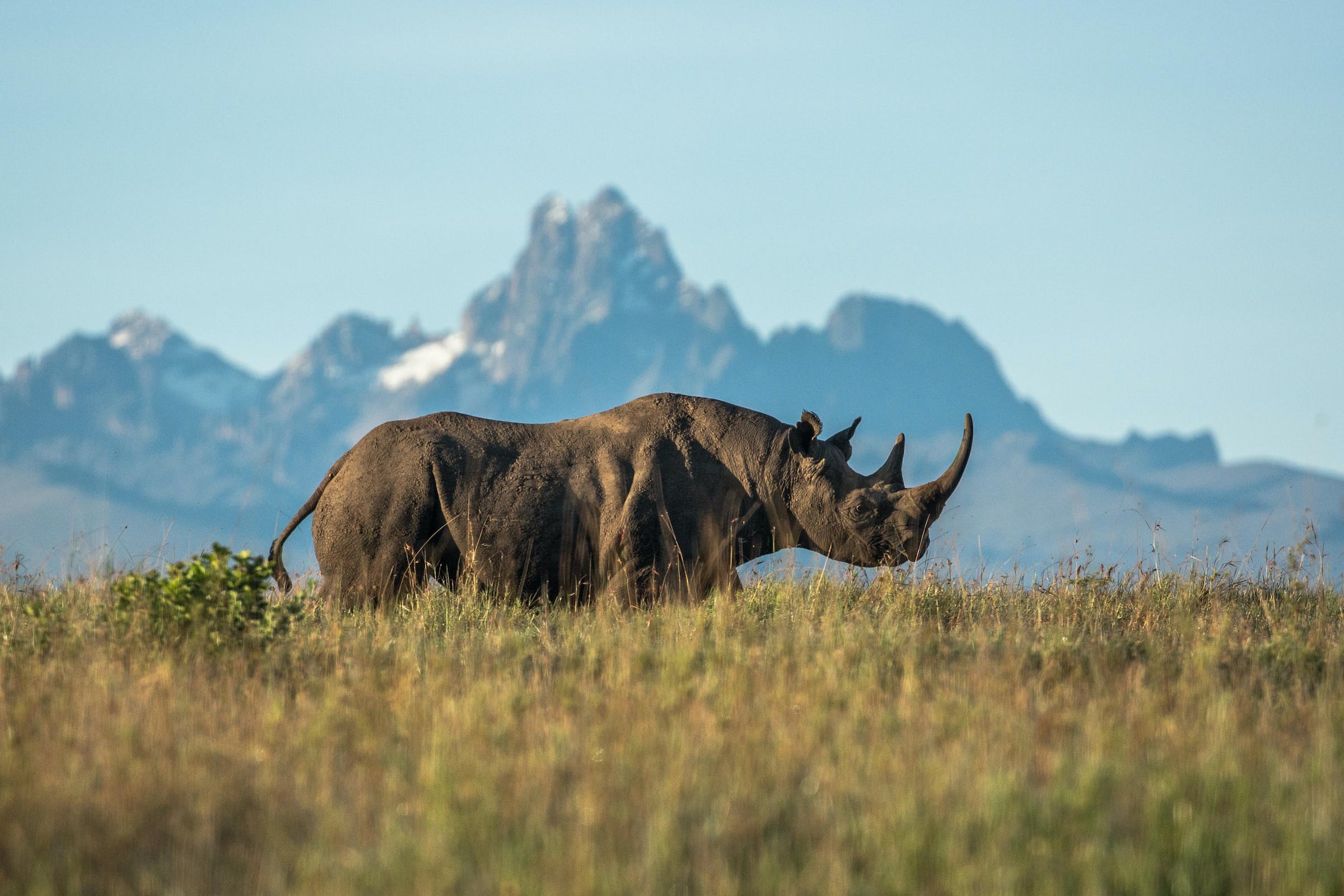 Ngulia Rhino Sanctuary in Tsavo National Park