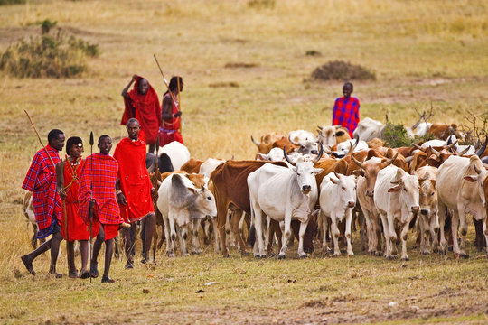 5 Fascinating Facts About The Maasai People 