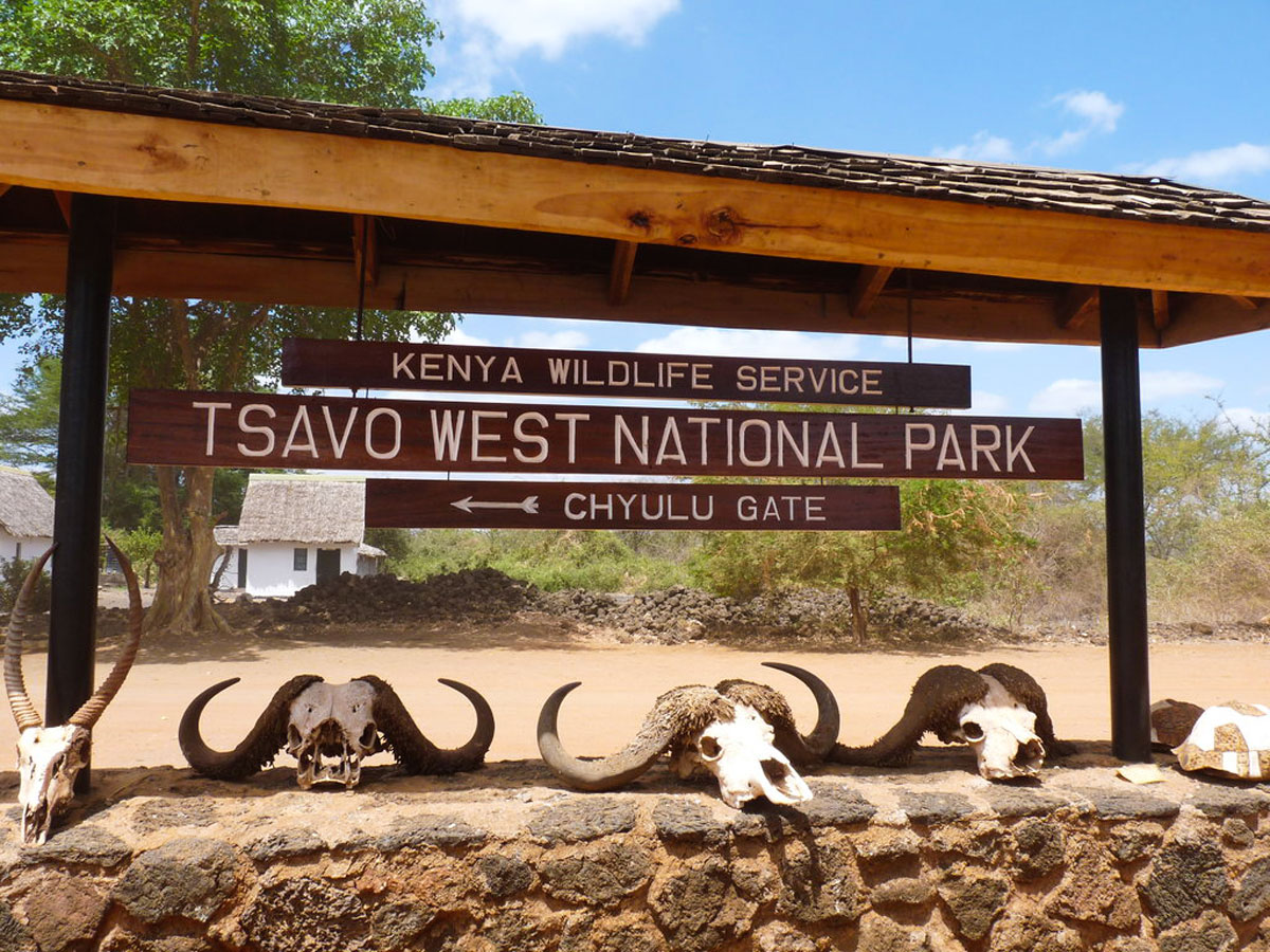 5 days Amboseli and Tsavo safari