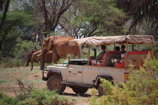 3 days Samburu Camping safari