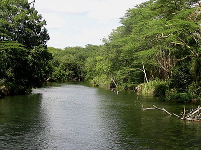 Tsavo River in Tsavo national park 