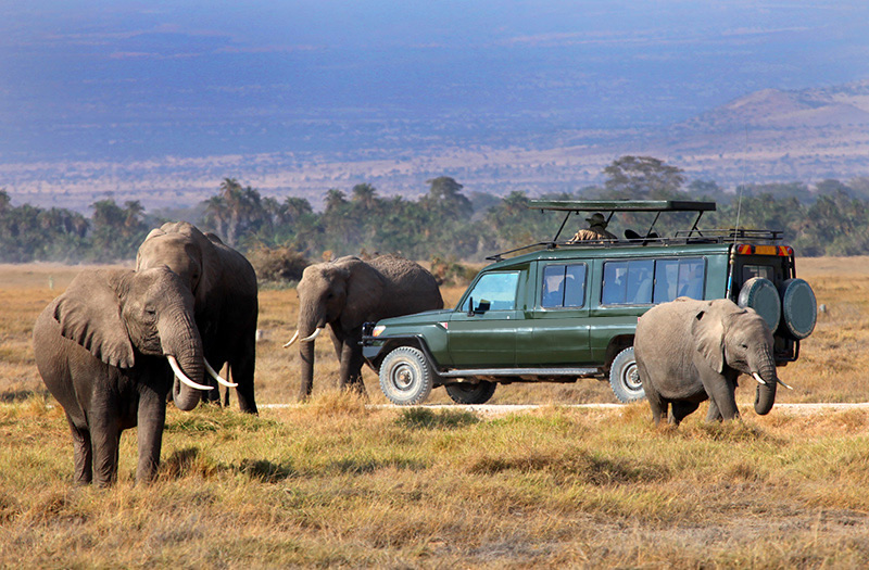 5 Amazing Road Trips Across Kenya 
