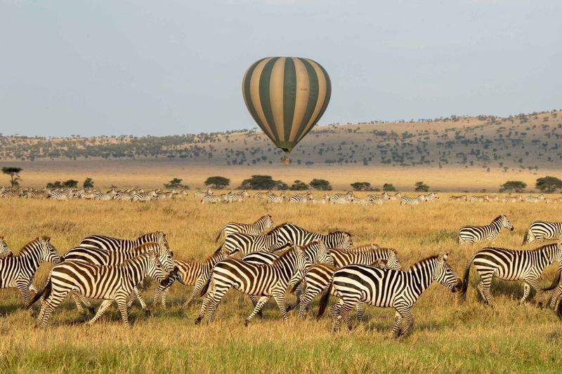 6 Days Ngorongoro and Serengeti Tanzania safari