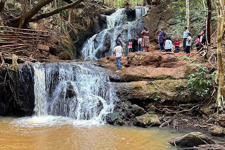 Karura Forest - The newest tourist attraction
